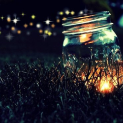 Night of 1,000 Fireflies