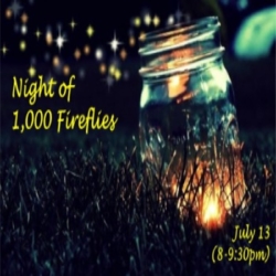 Night of 1,000 Fireflies at New Canaan Nature Center